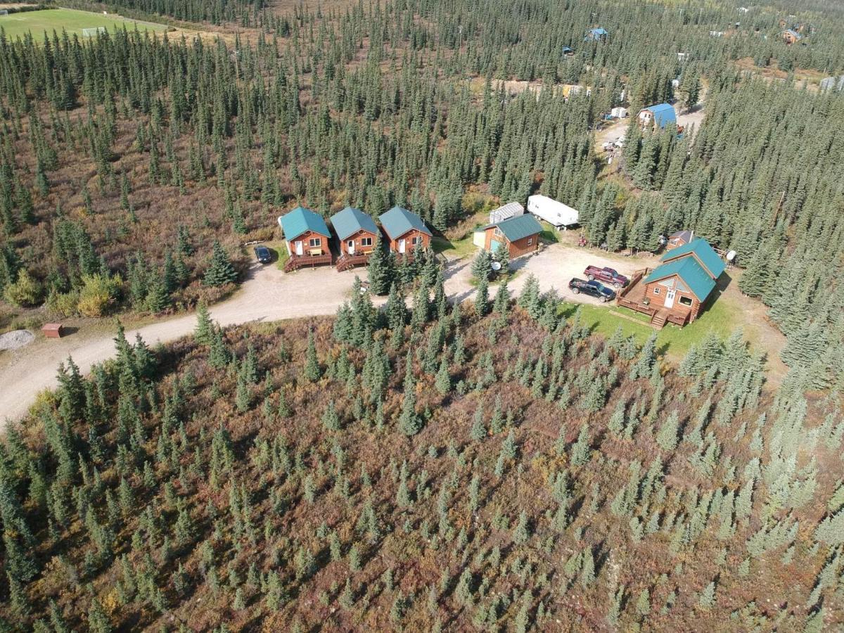 Denali'S Alaskan Spruce Cabins Хили Экстерьер фото