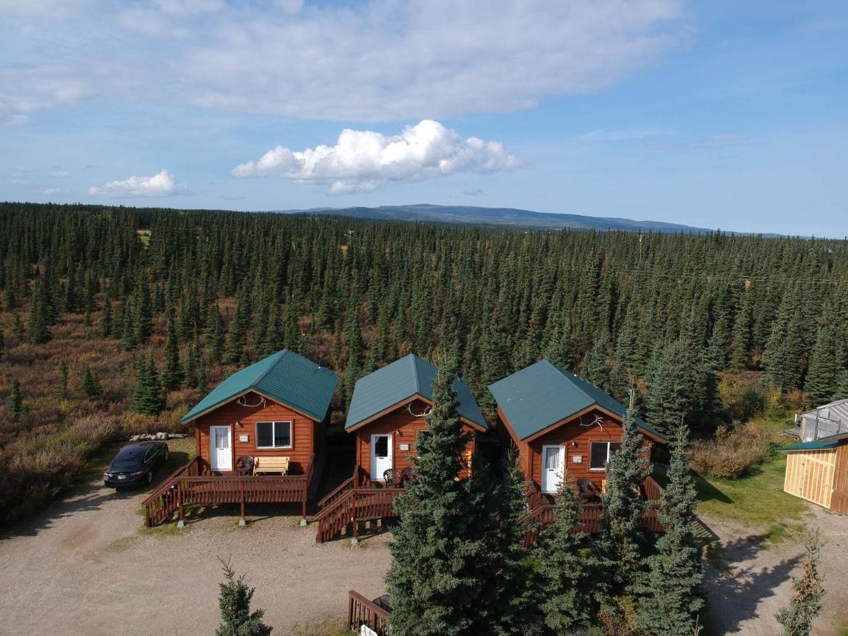 Denali'S Alaskan Spruce Cabins Хили Экстерьер фото
