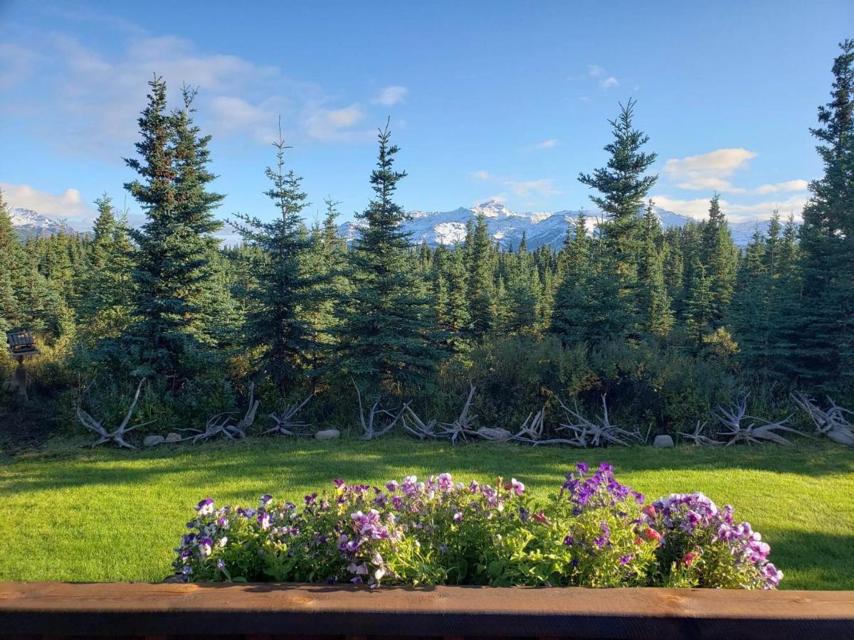 Denali'S Alaskan Spruce Cabins Хили Экстерьер фото