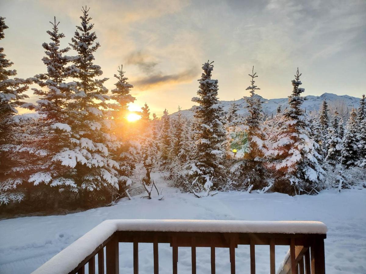 Denali'S Alaskan Spruce Cabins Хили Экстерьер фото