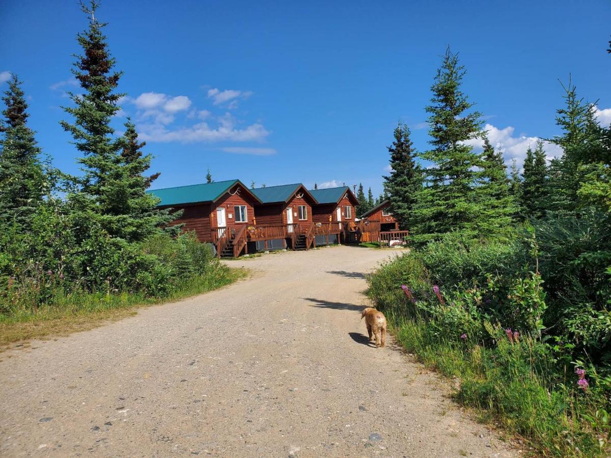 Denali'S Alaskan Spruce Cabins Хили Экстерьер фото