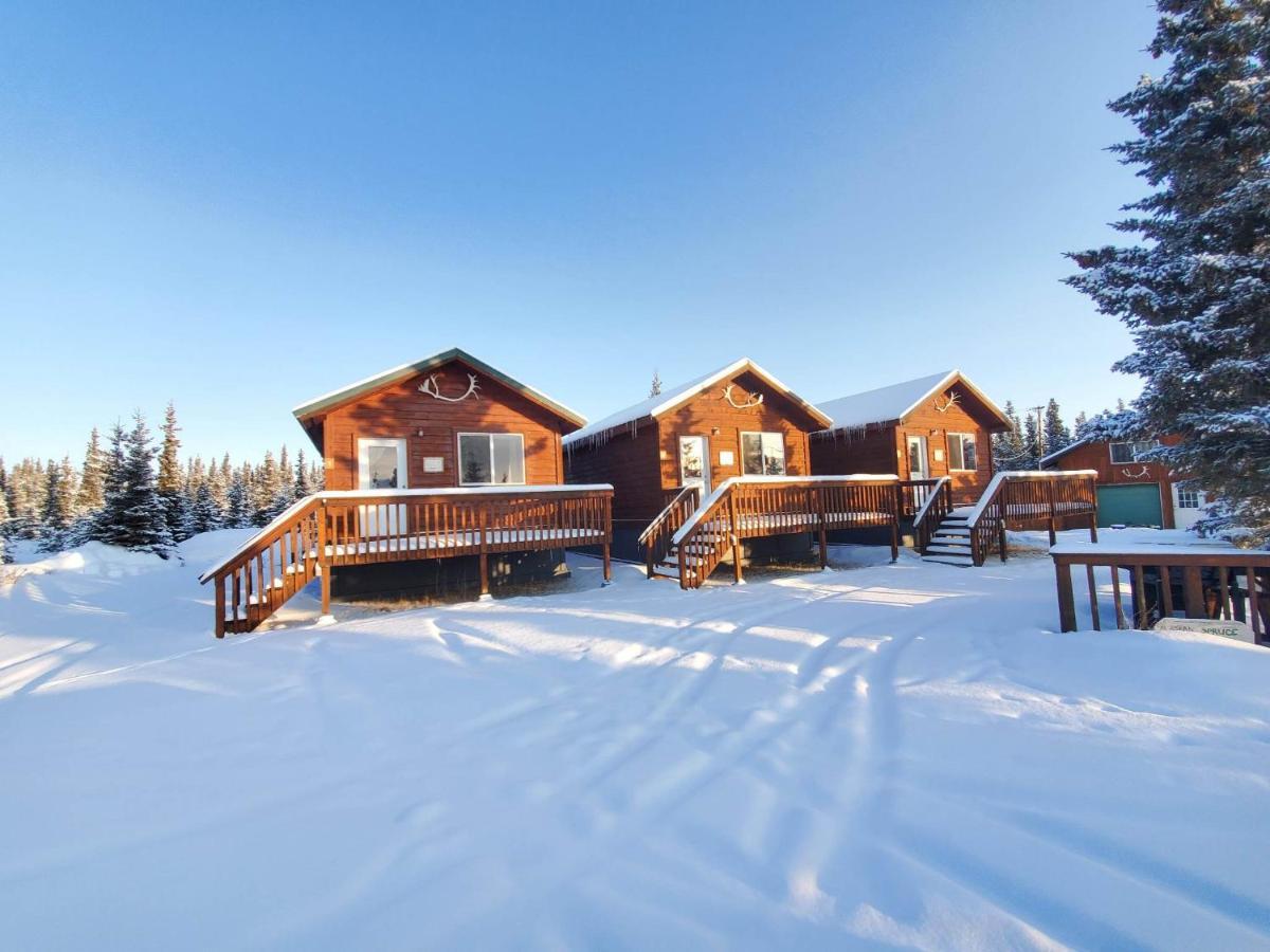 Denali'S Alaskan Spruce Cabins Хили Экстерьер фото