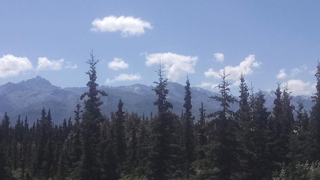 Denali'S Alaskan Spruce Cabins Хили Экстерьер фото