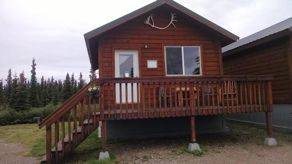 Denali'S Alaskan Spruce Cabins Хили Экстерьер фото