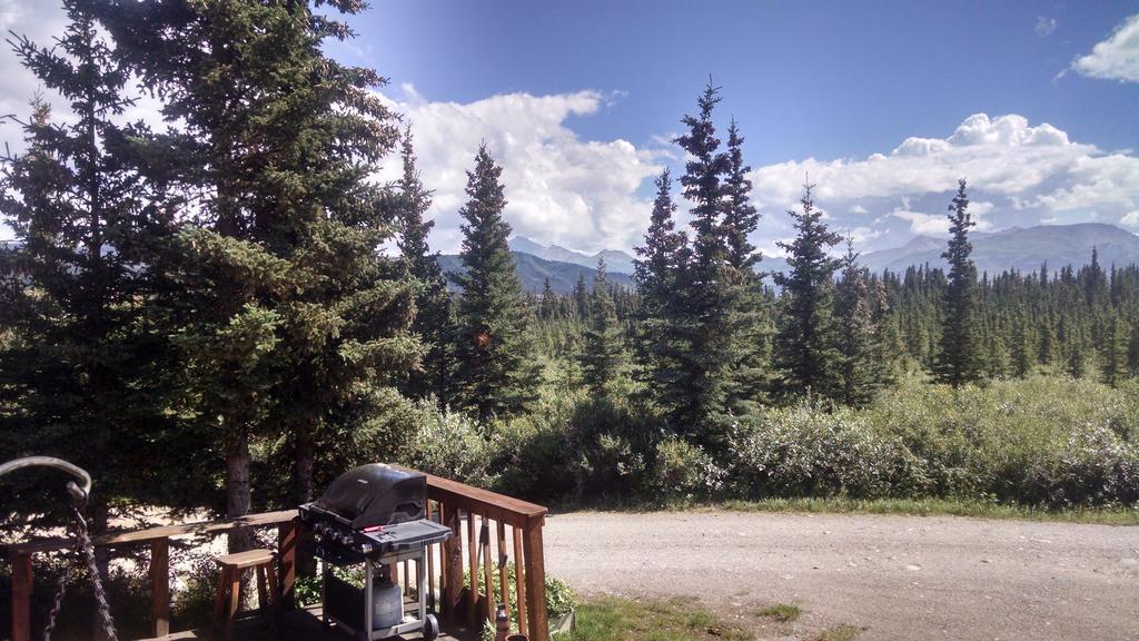 Denali'S Alaskan Spruce Cabins Хили Экстерьер фото