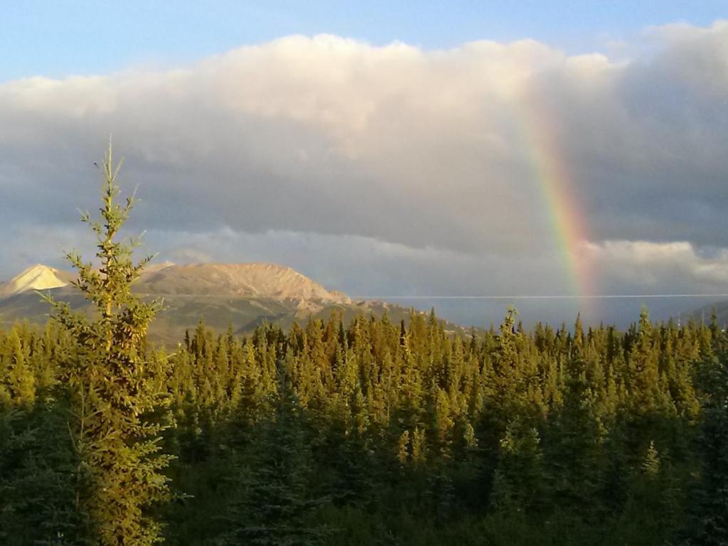 Denali'S Alaskan Spruce Cabins Хили Экстерьер фото