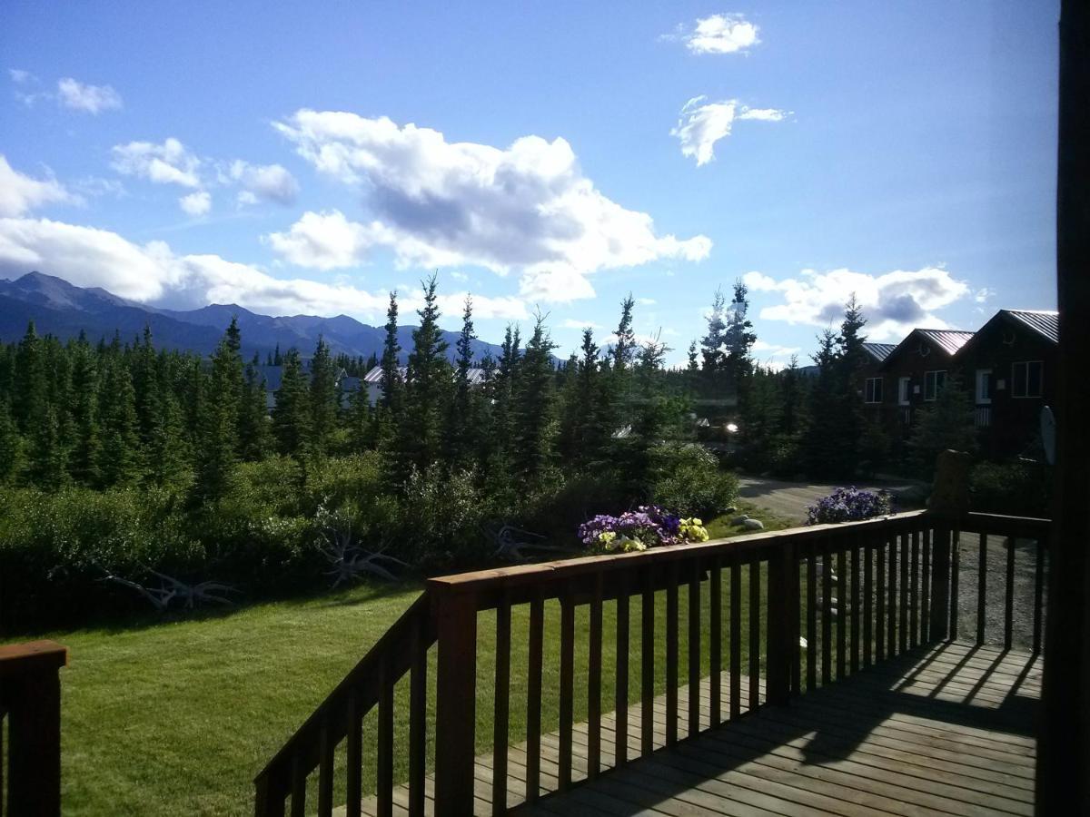 Denali'S Alaskan Spruce Cabins Хили Экстерьер фото